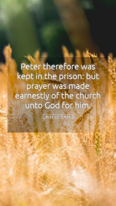 Picture 05 - Acts 12:5 ASV Mobile Phone Wallpaper - Peter therefore was kept in the prison: but - Mobile Bible Verse Wallpaper