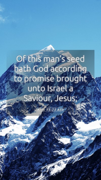 Picture 05 - Acts 13:23 ASV Mobile Phone Wallpaper - Of this man's seed hath God according to promise - Mobile Bible Verse Wallpaper