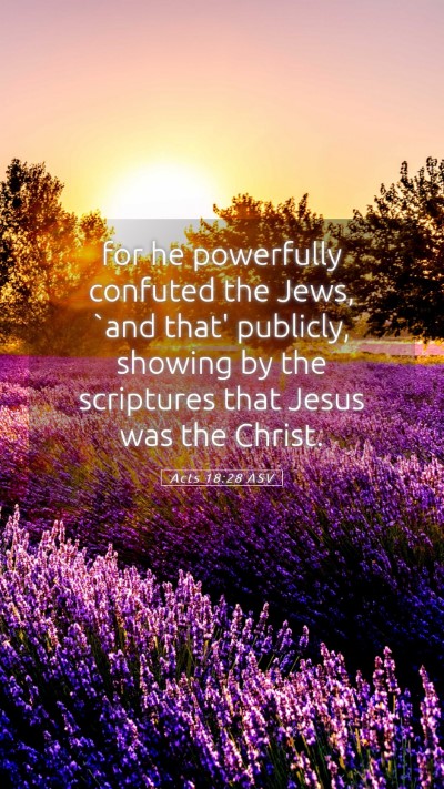 Picture 05 - Acts 18:28 ASV Mobile Phone Wallpaper - for he powerfully confuted the Jews, `and that' - Mobile Bible Verse Wallpaper