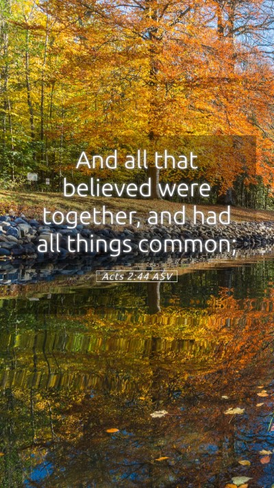Picture 05 - Acts 2:44 ASV Mobile Phone Wallpaper - And all that believed were together, and had all - Mobile Bible Verse Wallpaper