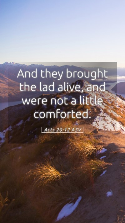 Picture 05 - Acts 20:12 ASV Mobile Phone Wallpaper - And they brought the lad alive, and were not a - Mobile Bible Verse Wallpaper