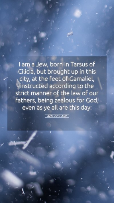 Picture 05 - Acts 22:3 ASV Mobile Phone Wallpaper - I am a Jew, born in Tarsus of Cilicia, but - Mobile Bible Verse Wallpaper