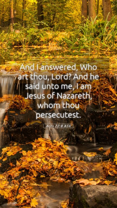 Picture 05 - Acts 22:8 ASV Mobile Phone Wallpaper - And I answered, Who art thou, Lord? And he said - Mobile Bible Verse Wallpaper
