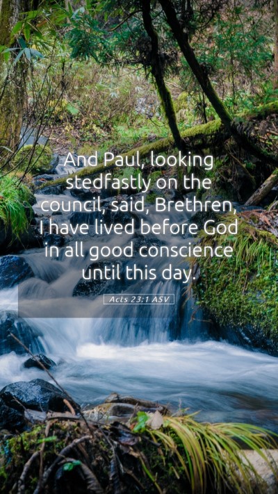 Picture 05 - Acts 23:1 ASV Mobile Phone Wallpaper - And Paul, looking stedfastly on the council, - Mobile Bible Verse Wallpaper