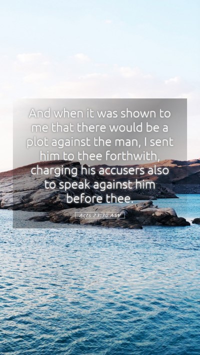 Picture 05 - Acts 23:30 ASV Mobile Phone Wallpaper - And when it was shown to me that there would be a - Mobile Bible Verse Wallpaper