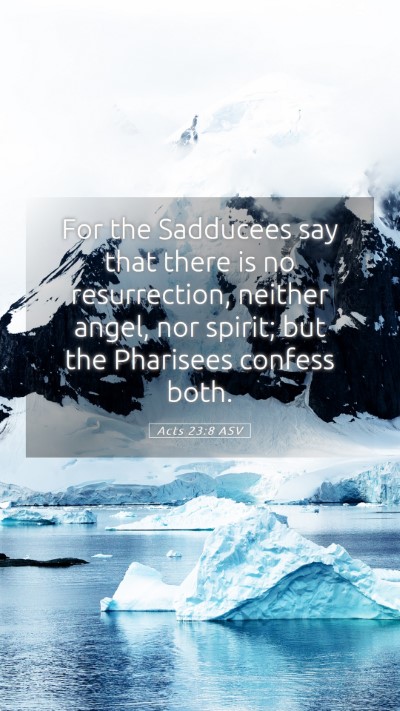 Picture 05 - Acts 23:8 ASV Mobile Phone Wallpaper - For the Sadducees say that there is no - Mobile Bible Verse Wallpaper