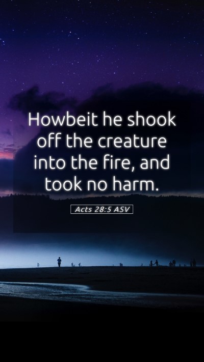 Picture 05 - Acts 28:5 ASV Mobile Phone Wallpaper - Howbeit he shook off the creature into the fire, - Mobile Bible Verse Wallpaper