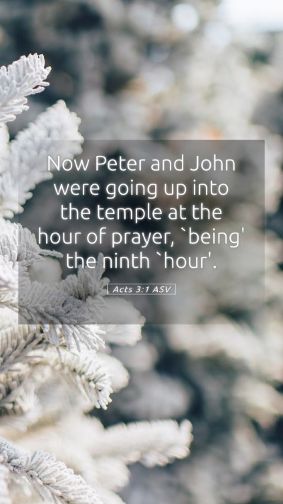 Picture 05 - Acts 3:1 ASV Mobile Phone Wallpaper - Now Peter and John were going up into the temple - Mobile Bible Verse Wallpaper