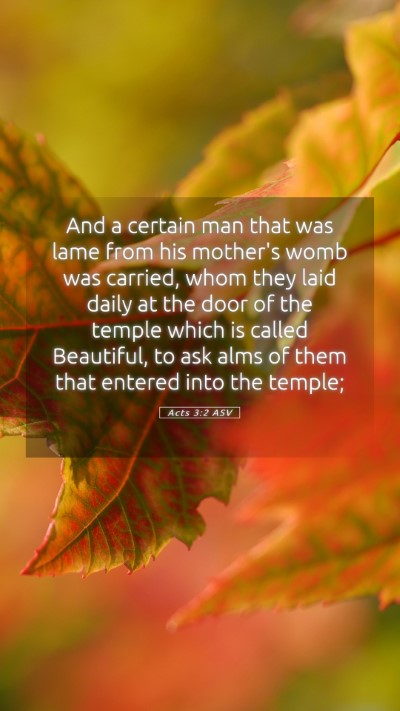 Picture 05 - Acts 3:2 ASV Mobile Phone Wallpaper - And a certain man that was lame from his mother's - Mobile Bible Verse Wallpaper