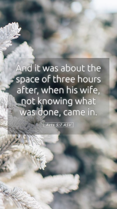 Picture 05 - Acts 5:7 ASV Mobile Phone Wallpaper - And it was about the space of three hours after, - Mobile Bible Verse Wallpaper