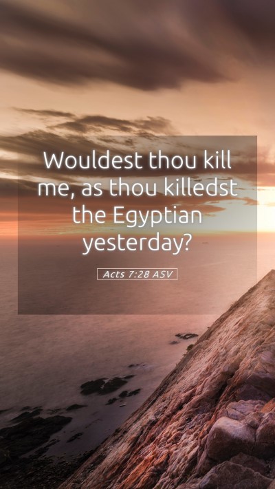 Picture 05 - Acts 7:28 ASV Mobile Phone Wallpaper - Wouldest thou kill me, as thou killedst the - Mobile Bible Verse Wallpaper