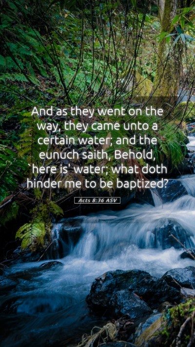 Picture 05 - Acts 8:36 ASV Mobile Phone Wallpaper - And as they went on the way, they came unto a - Mobile Bible Verse Wallpaper