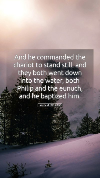 Picture 05 - Acts 8:38 ASV Mobile Phone Wallpaper - And he commanded the chariot to stand still: and - Mobile Bible Verse Wallpaper