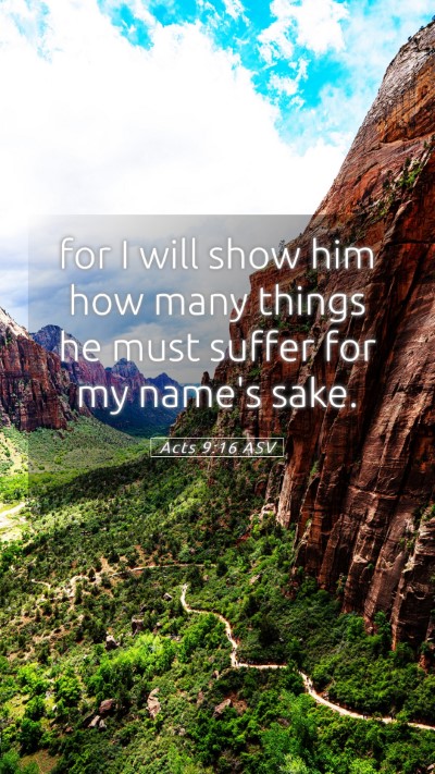 Picture 05 - Acts 9:16 ASV Mobile Phone Wallpaper - for I will show him how many things he must - Mobile Bible Verse Wallpaper