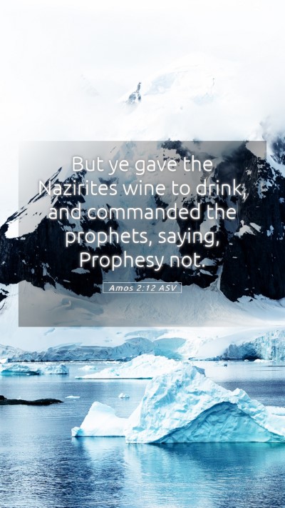 Picture 05 - Amos 2:12 ASV Mobile Phone Wallpaper - But ye gave the Nazirites wine to drink, and - Mobile Bible Verse Wallpaper