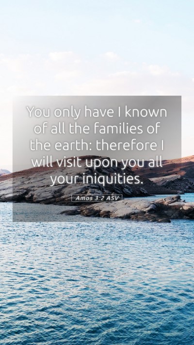 Picture 05 - Amos 3:2 ASV Mobile Phone Wallpaper - You only have I known of all the families of the - Mobile Bible Verse Wallpaper