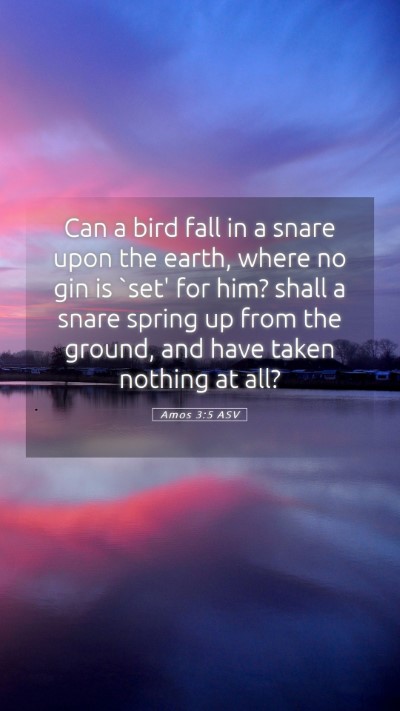 Picture 05 - Amos 3:5 ASV Mobile Phone Wallpaper - Can a bird fall in a snare upon the earth, where - Mobile Bible Verse Wallpaper