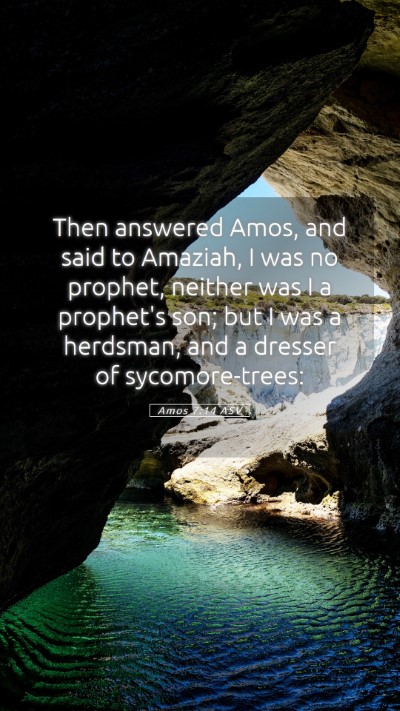 Picture 05 - Amos 7:14 ASV Mobile Phone Wallpaper - Then answered Amos, and said to Amaziah, I was no - Mobile Bible Verse Wallpaper