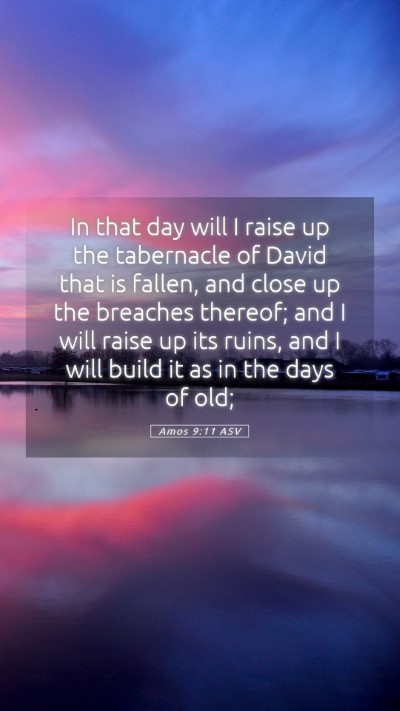 Picture 05 - Amos 9:11 ASV Mobile Phone Wallpaper - In that day will I raise up the tabernacle of - Mobile Bible Verse Wallpaper