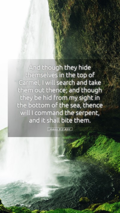 Picture 05 - Amos 9:3 ASV Mobile Phone Wallpaper - And though they hide themselves in the top of - Mobile Bible Verse Wallpaper