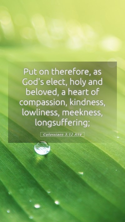 Picture 05 - Colossians 3:12 ASV Mobile Phone Wallpaper - Put on therefore, as God's elect, holy and - Mobile Bible Verse Wallpaper