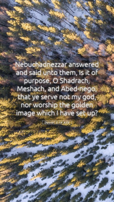 Picture 05 - Daniel 3:14 ASV Mobile Phone Wallpaper - Nebuchadnezzar answered and said unto them, Is it - Mobile Bible Verse Wallpaper