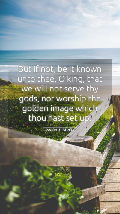 Picture 05 - Daniel 3:18 ASV Mobile Phone Wallpaper - But if not, be it known unto thee, O king, that - Mobile Bible Verse Wallpaper