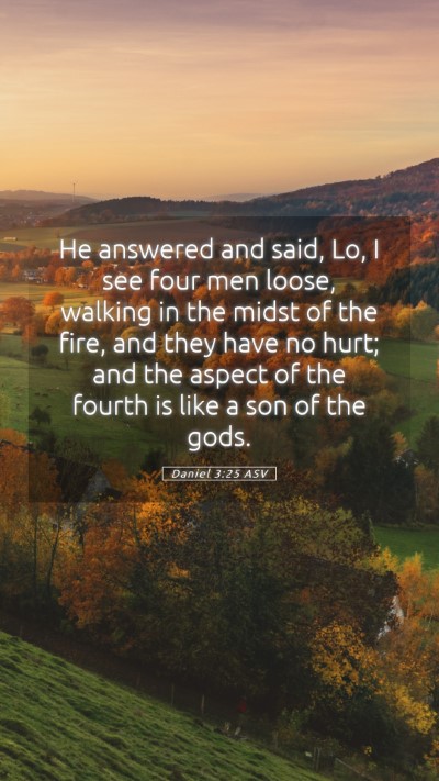 Picture 05 - Daniel 3:25 ASV Mobile Phone Wallpaper - He answered and said, Lo, I see four men loose, - Mobile Bible Verse Wallpaper