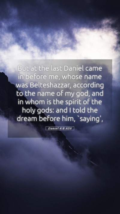 Picture 05 - Daniel 4:8 ASV Mobile Phone Wallpaper - But at the last Daniel came in before me, whose - Mobile Bible Verse Wallpaper