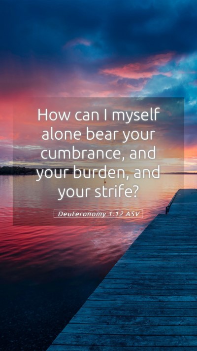 Picture 05 - Deuteronomy 1:12 ASV Mobile Phone Wallpaper - How can I myself alone bear your cumbrance, and - Mobile Bible Verse Wallpaper