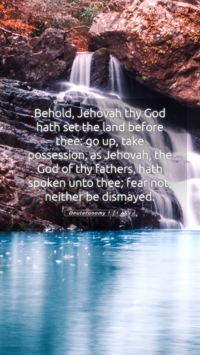 Picture 05 - Deuteronomy 1:21 ASV Mobile Phone Wallpaper - Behold, Jehovah thy God hath set the land before - Mobile Bible Verse Wallpaper