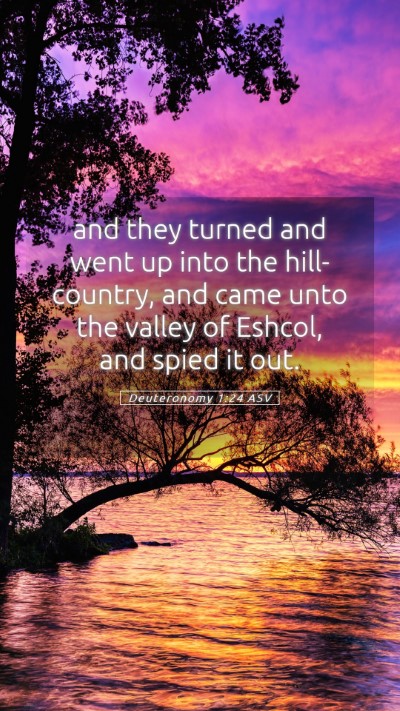 Picture 05 - Deuteronomy 1:24 ASV Mobile Phone Wallpaper - and they turned and went up into the - Mobile Bible Verse Wallpaper