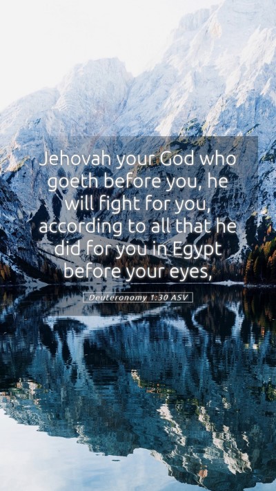 Picture 05 - Deuteronomy 1:30 ASV Mobile Phone Wallpaper - Jehovah your God who goeth before you, he will - Mobile Bible Verse Wallpaper