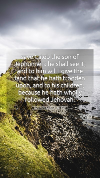 Picture 05 - Deuteronomy 1:36 ASV Mobile Phone Wallpaper - save Caleb the son of Jephunneh: he shall see it; - Mobile Bible Verse Wallpaper