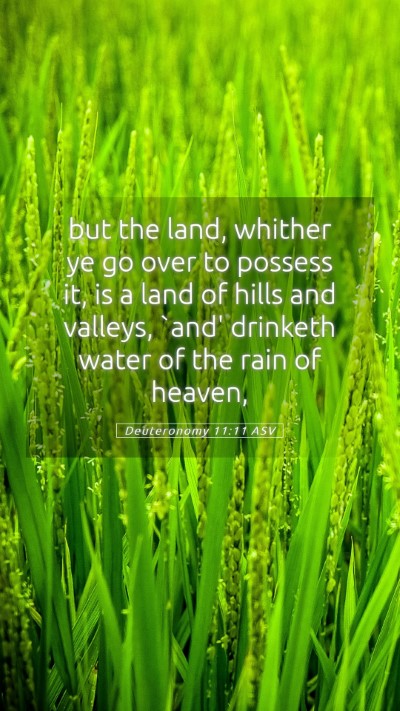 Picture 05 - Deuteronomy 11:11 ASV Mobile Phone Wallpaper - but the land, whither ye go over to possess it, - Mobile Bible Verse Wallpaper