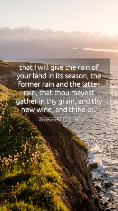 Picture 05 - Deuteronomy 11:14 ASV Mobile Phone Wallpaper - that I will give the rain of your land in its - Mobile Bible Verse Wallpaper