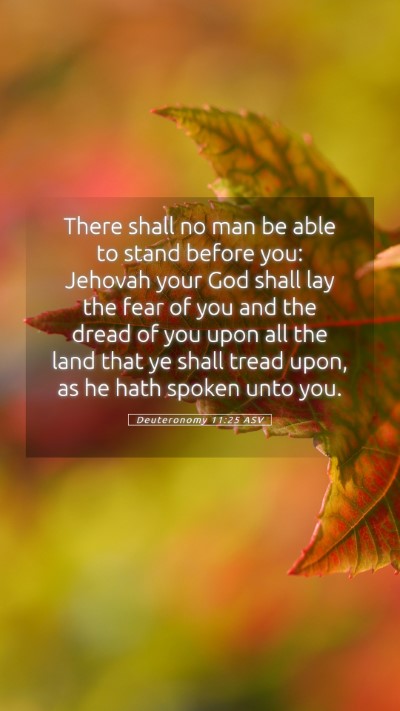 Picture 05 - Deuteronomy 11:25 ASV Mobile Phone Wallpaper - There shall no man be able to stand before you: - Mobile Bible Verse Wallpaper