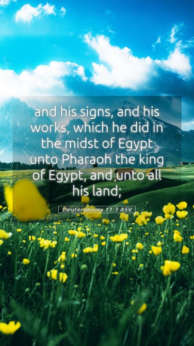Picture 05 - Deuteronomy 11:3 ASV Mobile Phone Wallpaper - and his signs, and his works, which he did in the - Mobile Bible Verse Wallpaper