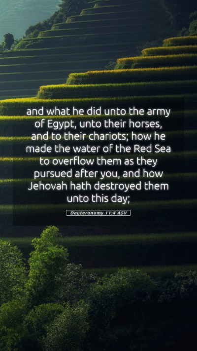 Picture 05 - Deuteronomy 11:4 ASV Mobile Phone Wallpaper - and what he did unto the army of Egypt, unto - Mobile Bible Verse Wallpaper