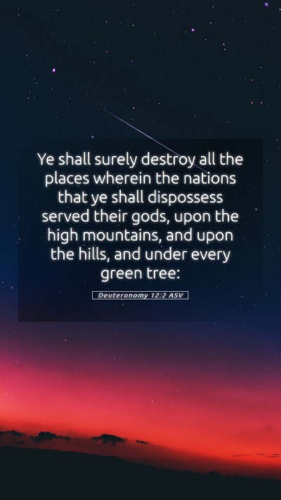 Picture 05 - Deuteronomy 12:2 ASV Mobile Phone Wallpaper - Ye shall surely destroy all the places wherein - Mobile Bible Verse Wallpaper