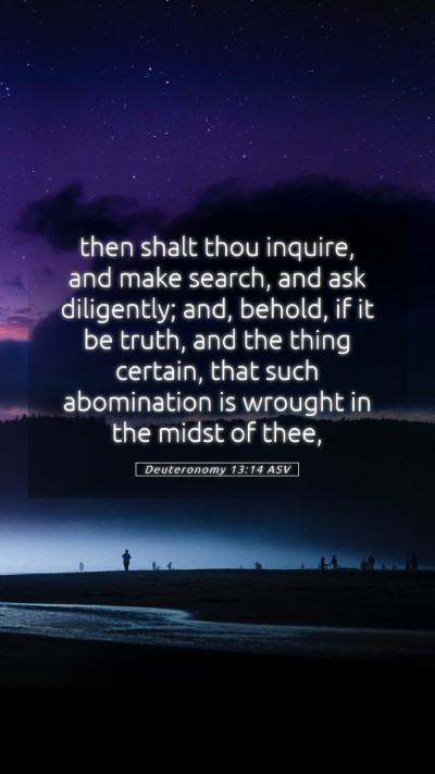 Picture 05 - Deuteronomy 13:14 ASV Mobile Phone Wallpaper - then shalt thou inquire, and make search, and ask - Mobile Bible Verse Wallpaper