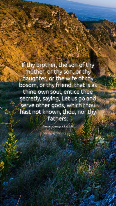 Picture 05 - Deuteronomy 13:6 ASV Mobile Phone Wallpaper - If thy brother, the son of thy mother, or thy - Mobile Bible Verse Wallpaper