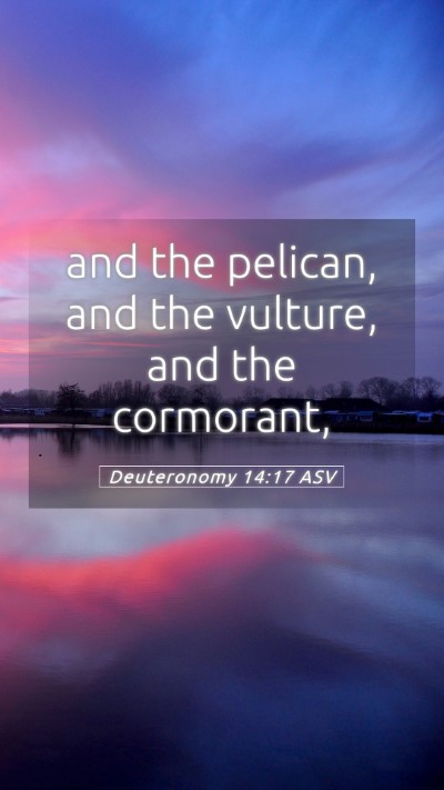 Picture 05 - Deuteronomy 14:17 ASV Mobile Phone Wallpaper - and the pelican, and the vulture, and the - Mobile Bible Verse Wallpaper