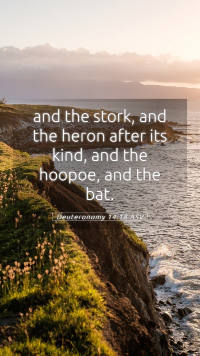 Picture 05 - Deuteronomy 14:18 ASV Mobile Phone Wallpaper - and the stork, and the heron after its kind, and - Mobile Bible Verse Wallpaper