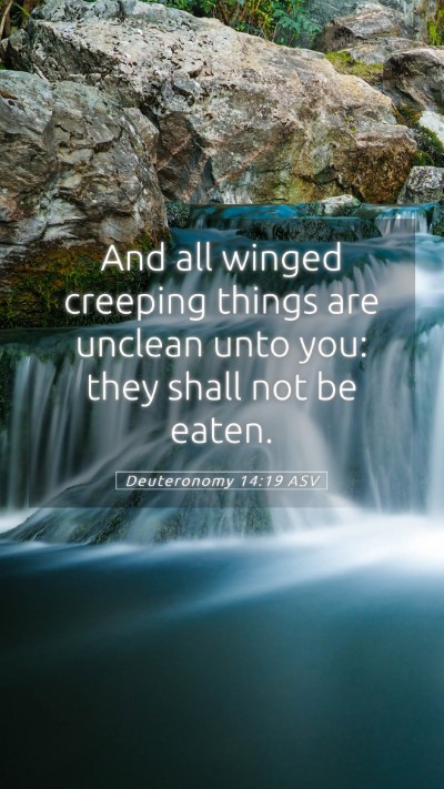 Picture 05 - Deuteronomy 14:19 ASV Mobile Phone Wallpaper - And all winged creeping things are unclean unto - Mobile Bible Verse Wallpaper