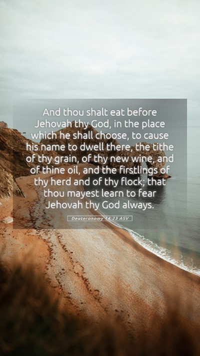 Picture 05 - Deuteronomy 14:23 ASV Mobile Phone Wallpaper - And thou shalt eat before Jehovah thy God, in the - Mobile Bible Verse Wallpaper