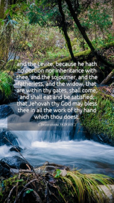 Picture 05 - Deuteronomy 14:29 ASV Mobile Phone Wallpaper - and the Levite, because he hath no portion nor - Mobile Bible Verse Wallpaper