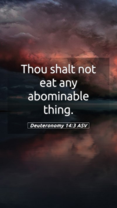 Picture 05 - Deuteronomy 14:3 ASV Mobile Phone Wallpaper - Thou shalt not eat any abominable - Mobile Bible Verse Wallpaper
