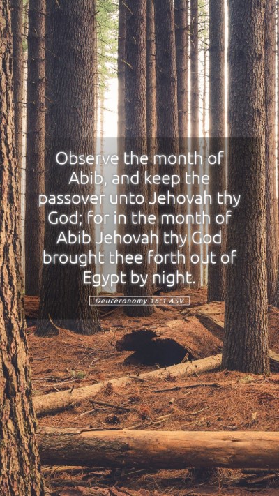 Picture 05 - Deuteronomy 16:1 ASV Mobile Phone Wallpaper - Observe the month of Abib, and keep the passover - Mobile Bible Verse Wallpaper