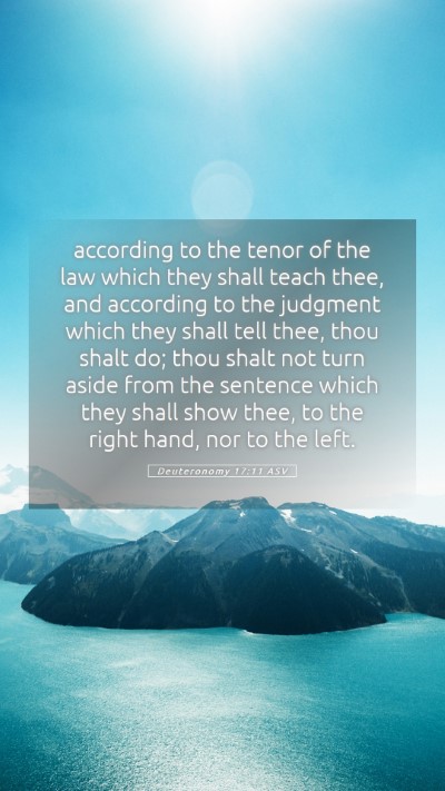 Picture 05 - Deuteronomy 17:11 ASV Mobile Phone Wallpaper - according to the tenor of the law which they - Mobile Bible Verse Wallpaper